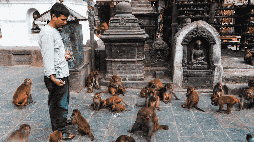 Monkey Temple in kathmandu
