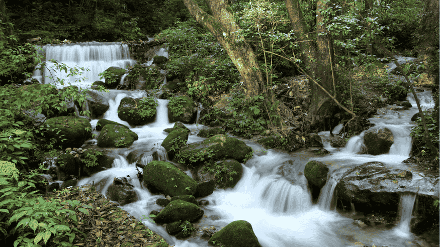 Shivapuri Nagarjun National Park